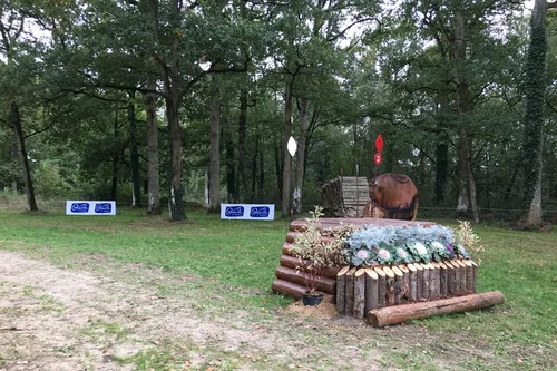 Équitation. Le Mondial du Lion saute encore un palier